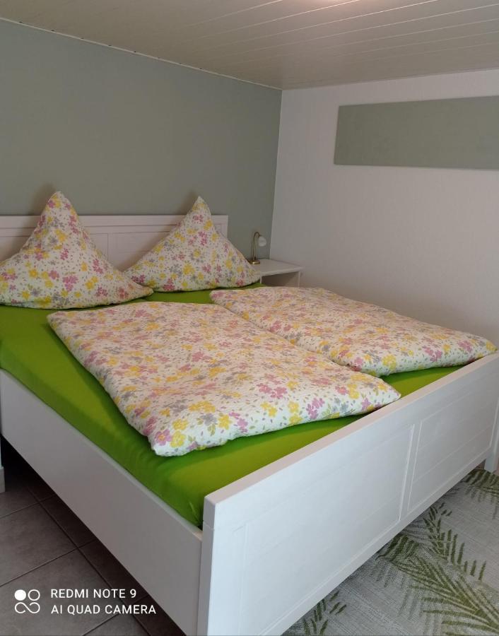 Michel'S Ferienwohnung Kurort Gohrisch Εξωτερικό φωτογραφία